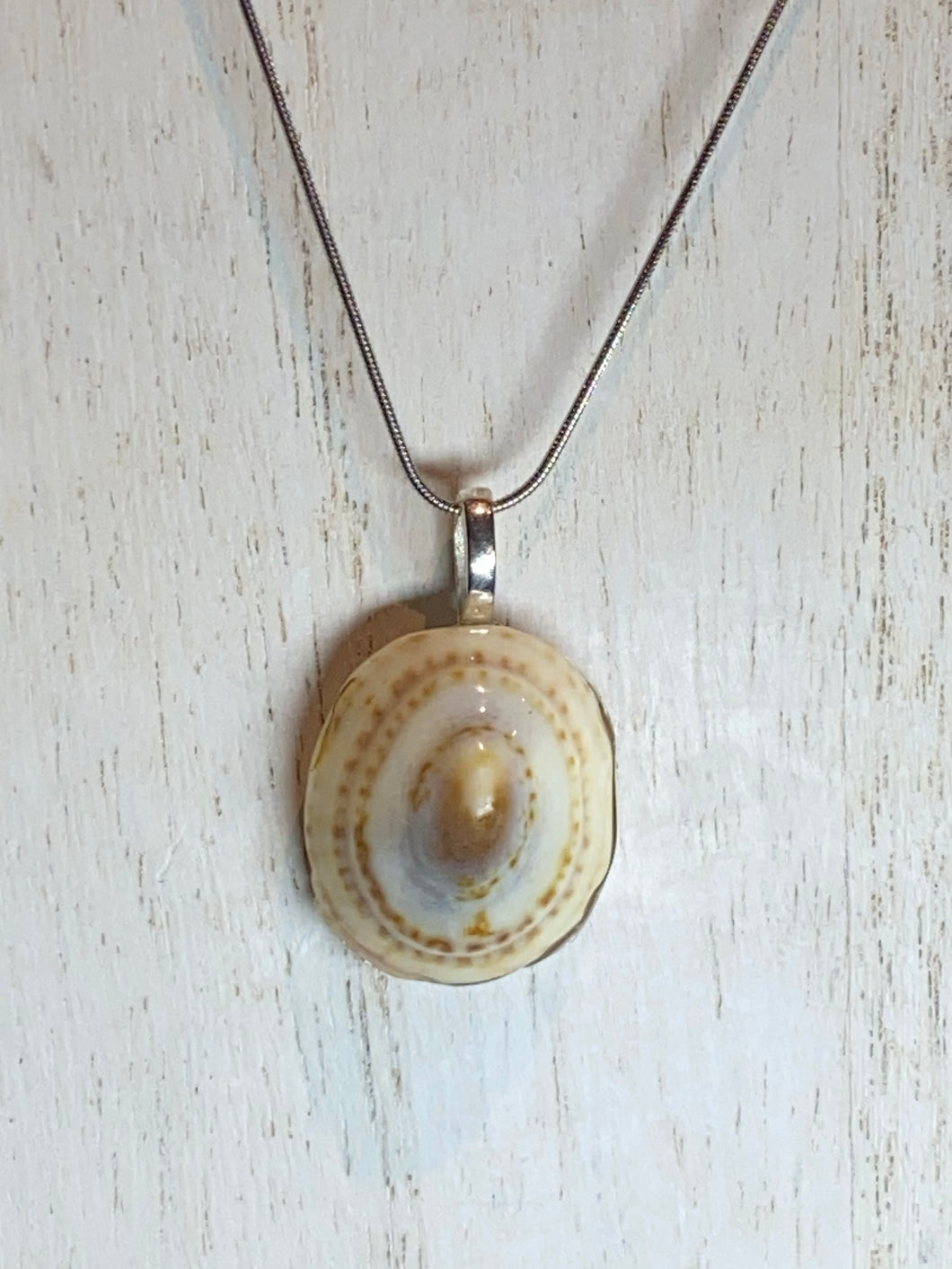 Limpet Shell Pendant & Chain