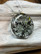 Load image into Gallery viewer, Lichen Pendant &amp; Chain

